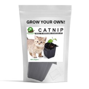 Palm Gardens Cat Nip Plant Seed To Catnip Seedling Home Grow Starter Kit