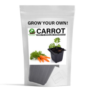 Palm Garden Grow Your Own Carrot Plant – Seed to Seedling Kit