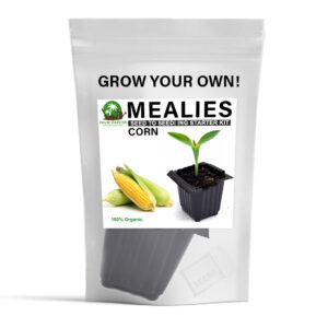 Palm Garden Grow Your Own Corn (Mealies) Plant – Seed to Seedling Kit