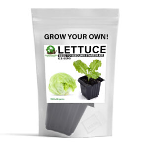 Palm Garden Grow Your Own Iceberg Lettuce Plant – Seed to Seedling Kit