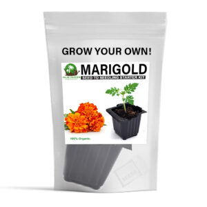Palm Garden Grow Your Own Marigold Plant – Seed to Seedling Kit